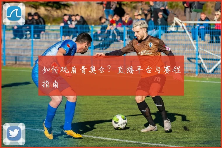 如何观看青奥会?直播平台与赛程指南