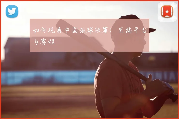 如何观看中国排球联赛：直播平台与赛程